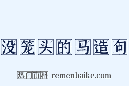 没笼头的马造句是什么意思的图片